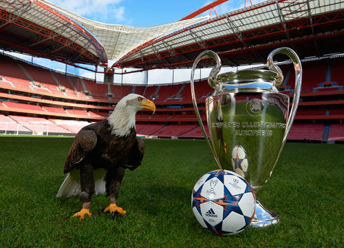 对于纽约尼 对于纽约尼