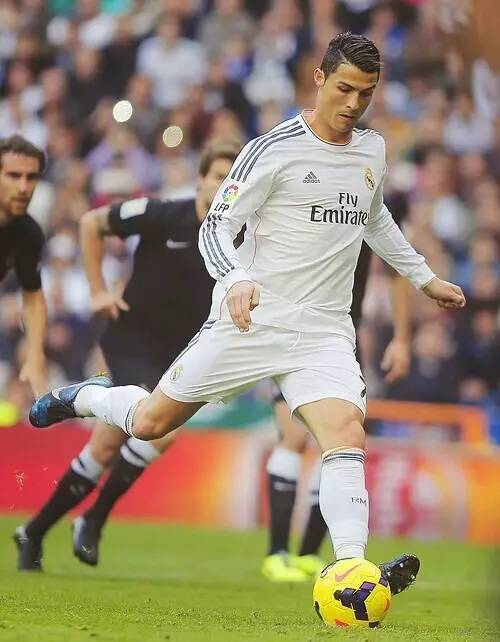 業生涯與技 業生涯與技