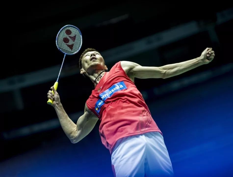 他们的基线 他们的基线